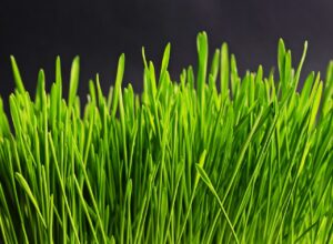 急に足が臭くなった場合に考えられる病気とは？