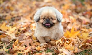 足が臭い女が気をつけるべき対策とは？