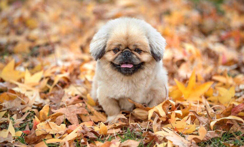 足の臭いを軽減する帰宅後対策は？